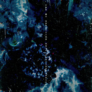 黃色成人❌❌❌大片爱恋视频网站
