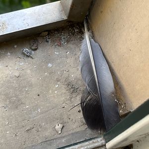 黃色成人❌❌❌大片爱恋视频网站
