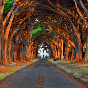 黃色成人❌❌❌大片爱恋视频网站
