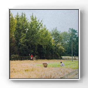 黃色成人❌❌❌大片爱恋视频网站
